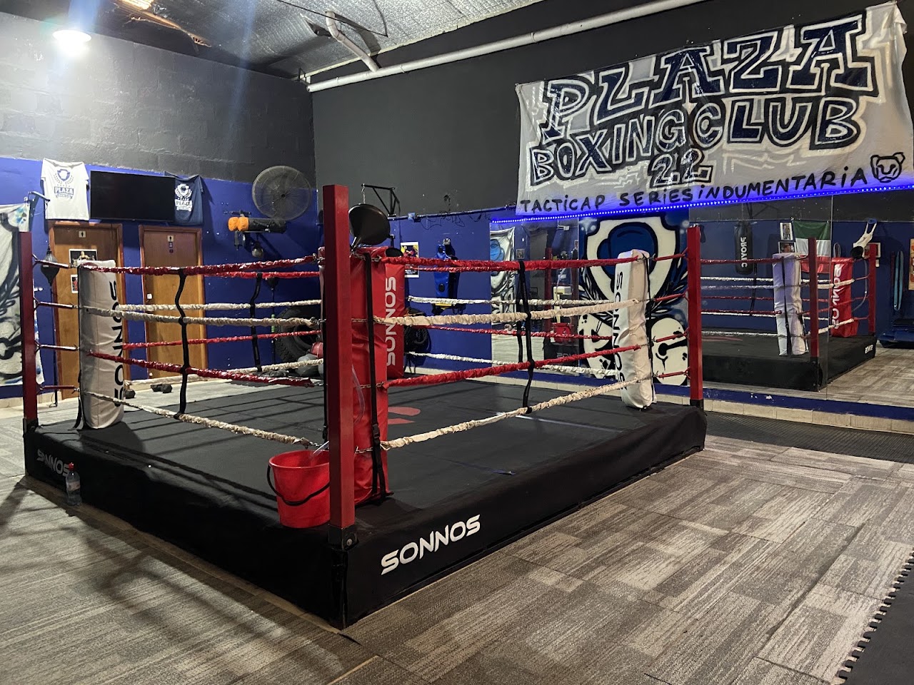 Ring de boxeo profesional de Plaza Boxing Club