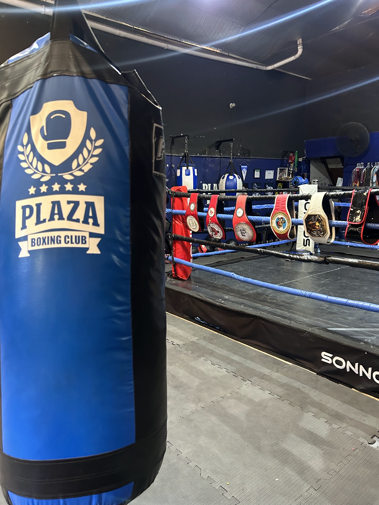 Ring de boxeo y mural de Ali en Plaza Boxing Club